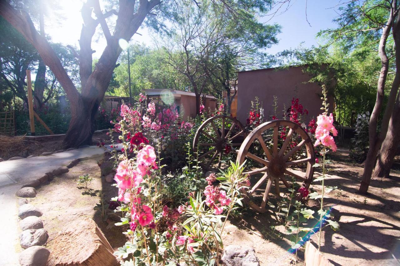 Hotel-camping Takha Takha Lodge San Pedro de Atacama