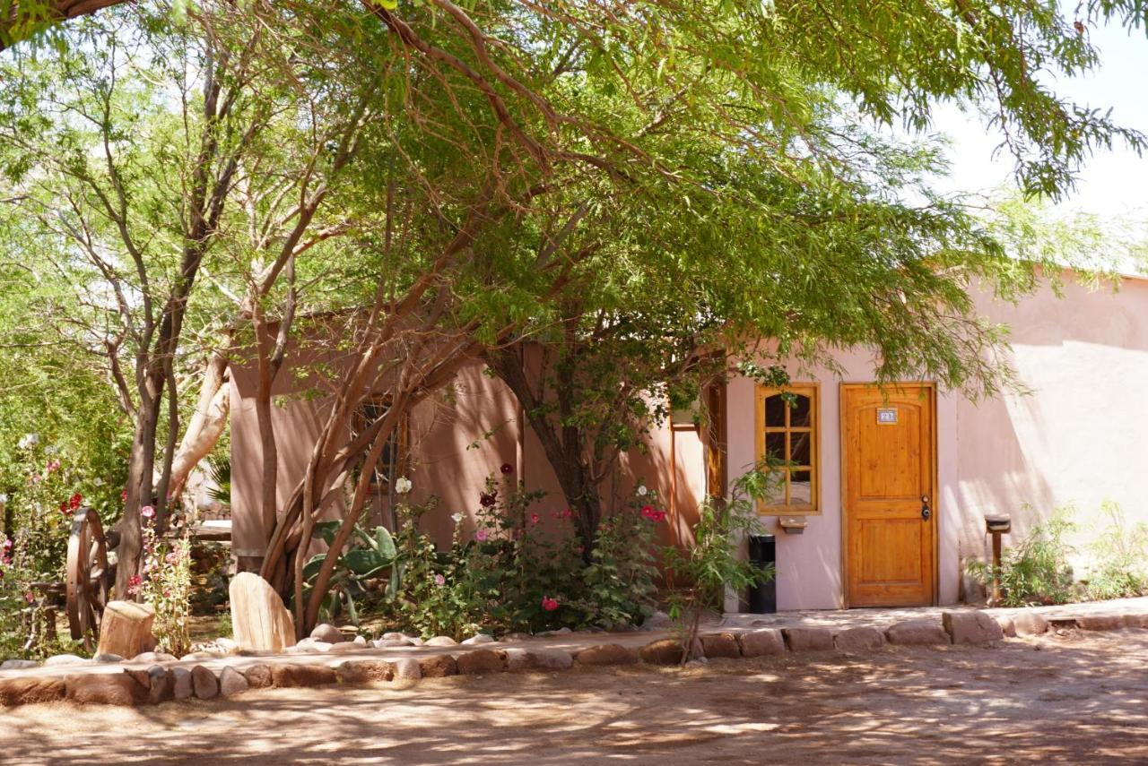 Hotel-camping Takha Takha Lodge