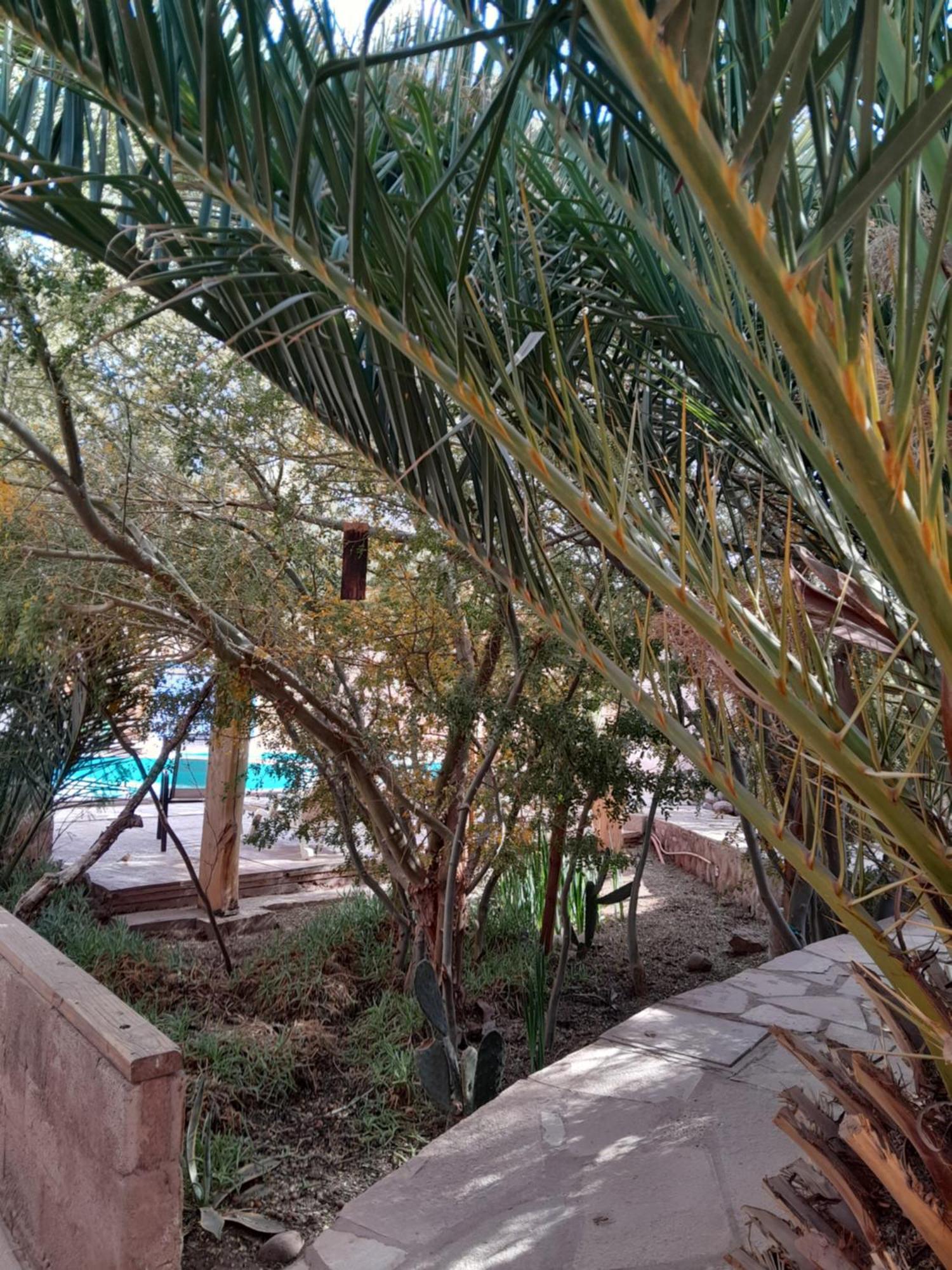 Hotel-camping Takha Takha Lodge San Pedro de Atacama