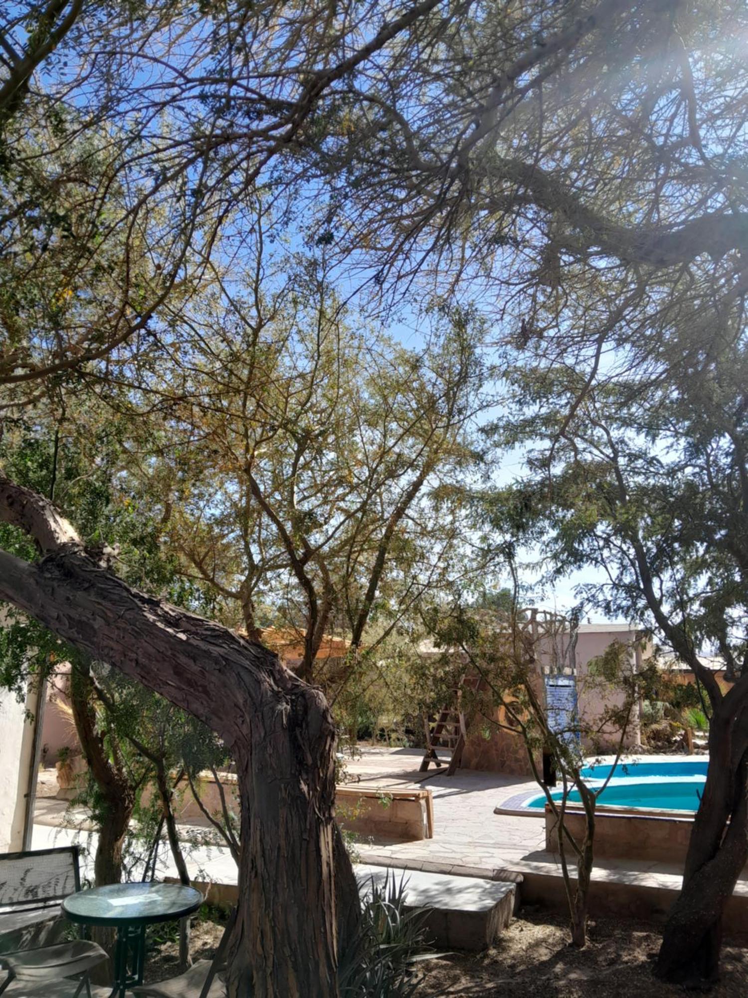 Hotel-camping Takha Takha San Pedro de Atacama