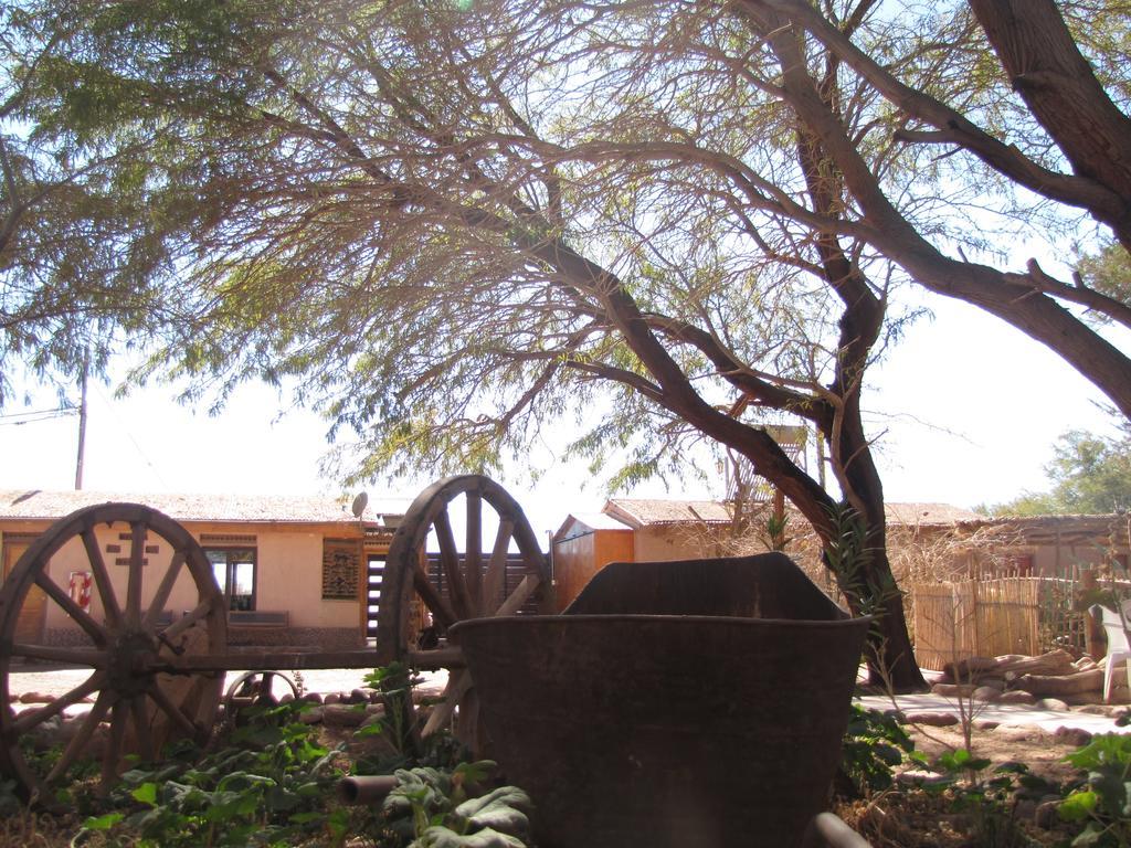 Hotel-camping Takha Takha Lodge